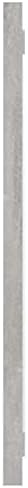 vidaXL Concrete Gray Wall Mirror 394x146