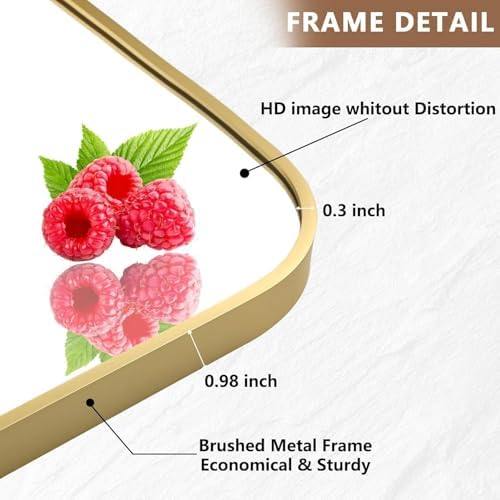 Brushed Gold Mirror 16x24 Rectangle Wall Mount