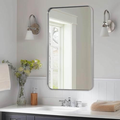 ANDY STAR Brushed Nickel 30x48 Bathroom Mirror