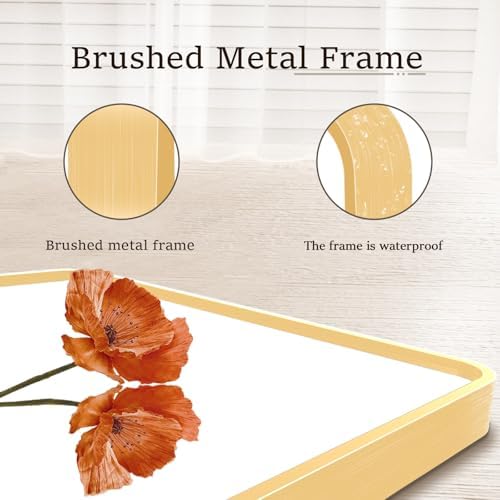 CojNouq Modern Rectangle Wall-Mounted Mirror