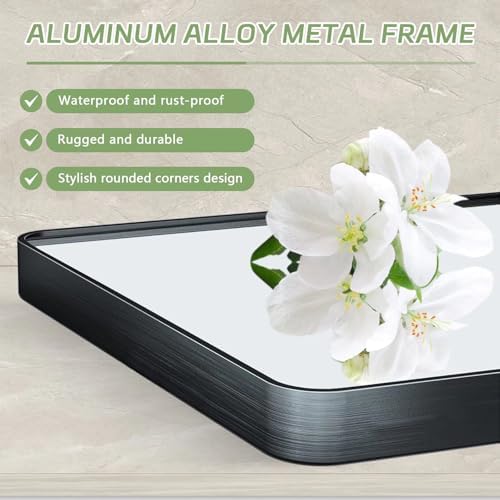 Black Framed Mirror for Bathroom Vanity 15x25in Brushed Rectangle