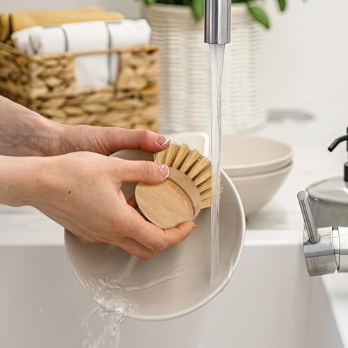Bamboo Dish Brush Head Set of 6 Eco-Friendly Cleaning