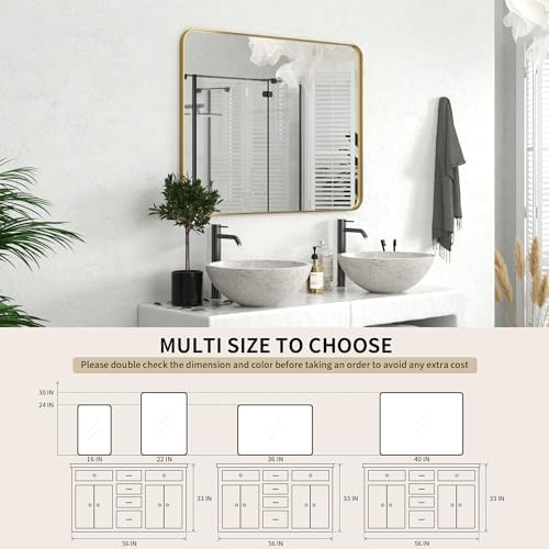 PAIHOME 30x40 Inch Brushed Gold Wall Mirror