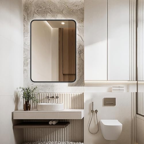 Wall-Mounted Bathroom Mirror 22 x 30 Inches Matte Black