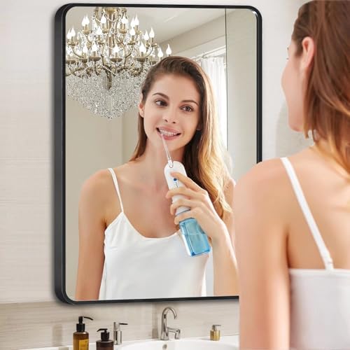 Black Framed Mirror for Bathroom Vanity 15x25in Brushed Rectangle