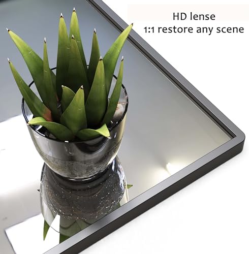 47x30 Inch Modern Bathroom Mirror with Storage Shelf 1