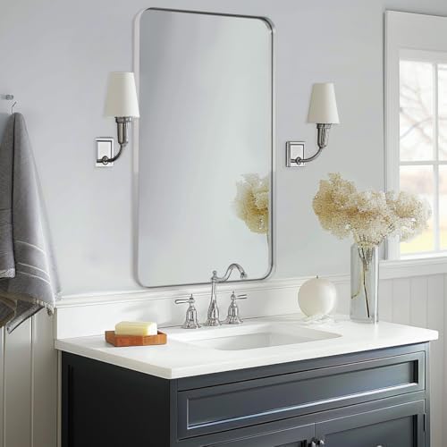 ANDY STAR Brushed Nickel 30x48 Bathroom Mirror