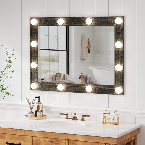 HWB 31x23 Inch Farmhouse Mirror with LED Lights
