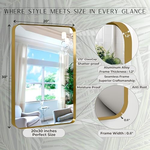 Gabnico 20x30 Inch Bronze Aluminum Frame Mirror