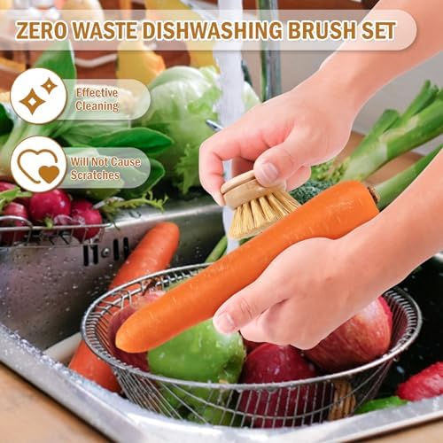 Bamboo Dish Brush Head Set of 6 Eco-Friendly Cleaning
