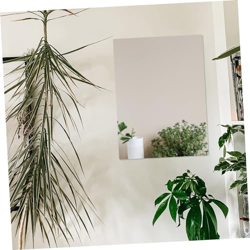 RORPOIR Wall Mounted Shatterproof Acrylic Mirror