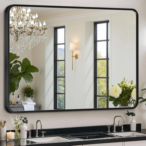 Black Framed Mirror for Bathroom Vanity 15x25in Brushed Rectangle
