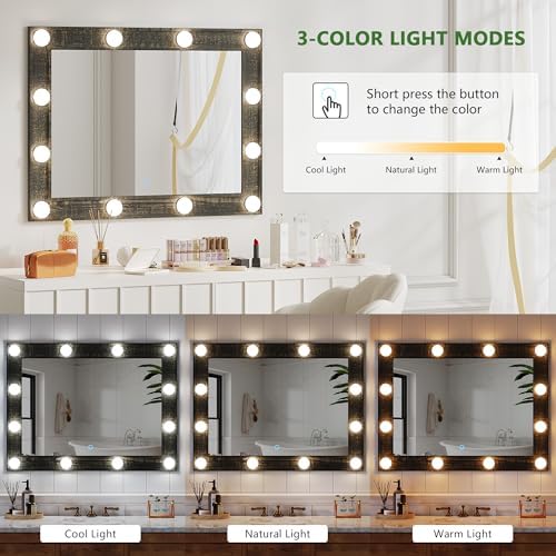 HWB 31x23 Inch Farmhouse Mirror with LED Lights