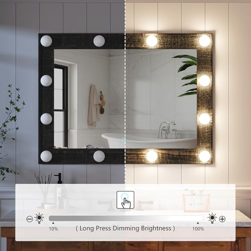 HWB 31x23 Inch Farmhouse Mirror with LED Lights