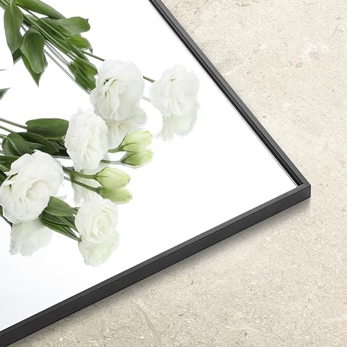 Bonverre 55x30 Inch Black Wall Mirror
