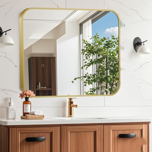 16x20 Inch Gold Mirror with Brushed Brass Frame