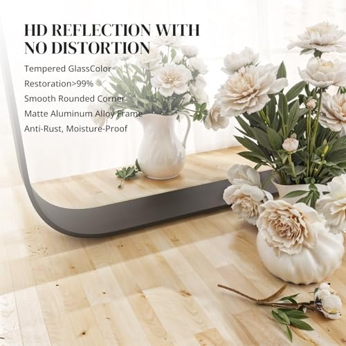 Bed Bath Beyond Glass Mirror 40x30 Inch Matte Black Frame
